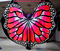 Крылья бабочка