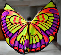 Крылья с 3Д эффектом