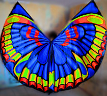 Яркий синий в 3Д крыльях!