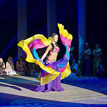 Крылья флаги